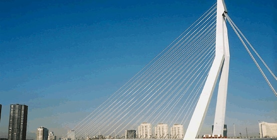 Best things to do in Rotterdam